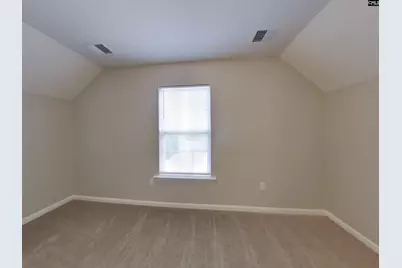 224 Barnevelder Drive, Lexington, SC 29072 - Photo 14