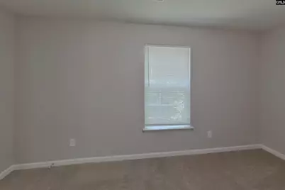 121 Eagle Pointe Drive, Chapin, SC 29036 - Photo 12