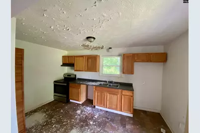 249 Richards Street, Denmark, SC 29042 - Photo 6