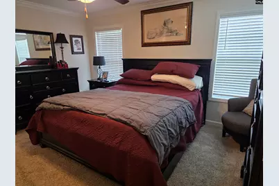 538 Sasanqua Lane, Lexington, SC 29073 - Photo 16