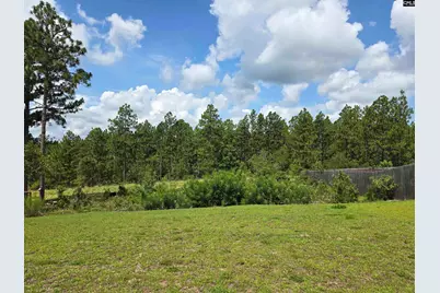538 Sasanqua Lane, Lexington, SC 29073 - Photo 28