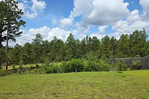 538 Sasanqua Ln, Lexington, SC 29073 - Photo 28