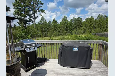 538 Sasanqua Lane, Lexington, SC 29073 - Photo 26