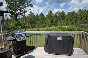 538 Sasanqua Ln, Lexington, SC 29073 - Photo 26