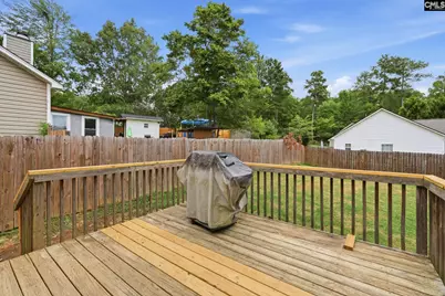 504 Beech Branch Drive, Irmo, SC 29063 - Photo 26