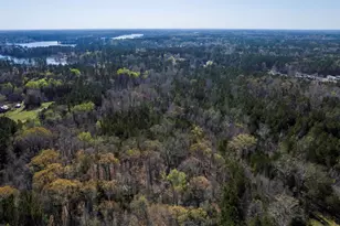 359 Holly Point Rd, Prosperity, SC 29127 - Photo 1