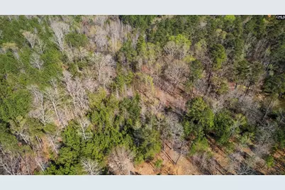 359 Holly Point Road, Prosperity, SC 29127 - Photo 4