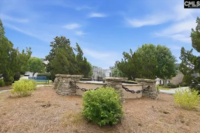 805 Boatswain Loop, Chapin, SC 29036 - Photo 30