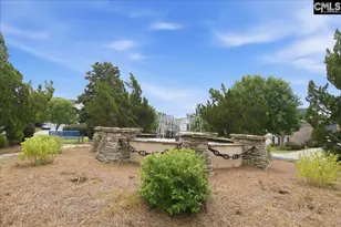 805 Boatswain Loop, Chapin, SC 29036 - Photo 30