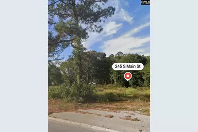 245 South Main Street, Gaston, SC 29053 - Photo 2