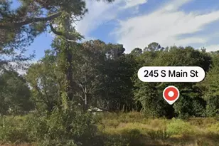 245 S Main St, Gaston, SC 29053 - Photo 2