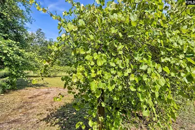 150 Timmerman Road, Swansea, SC 29160 - Photo 30