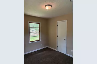 3124 Pine Plain Road, Swansea, SC 29160 - Photo 12
