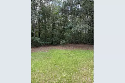 3124 Pine Plain Road, Swansea, SC 29160 - Photo 4