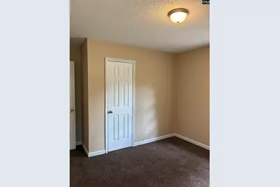 3124 Pine Plain Road, Swansea, SC 29160 - Photo 16