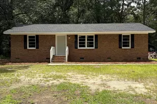 3124 Pine Plain Rd, Swansea, SC 29160 - Photo 1