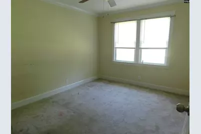 928 St Matthews Road, Swansea, SC 29160 - Photo 12