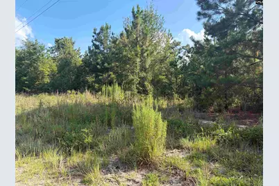 0 Valley Stream Road, Leesville, SC 29070 - Photo 6
