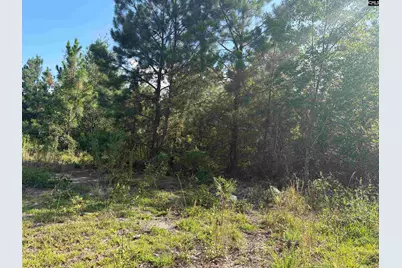 0 Valley Stream Road, Leesville, SC 29070 - Photo 2