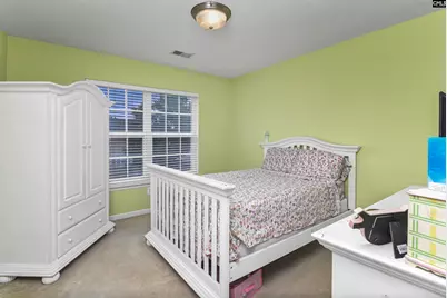238 Longtown Place Drive, Columbia, SC 29229 - Photo 10