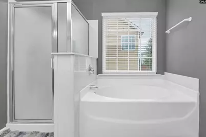 238 Longtown Place Drive, Columbia, SC 29229 - Photo 8