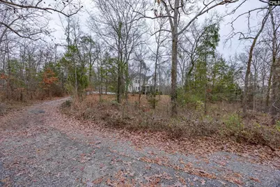 151 Harrison Hill Court, Gilbert, SC 29054 - Photo 44
