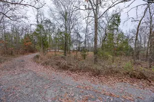 151 Harrison Hill Ct, Gilbert, SC 29054 - Photo 44