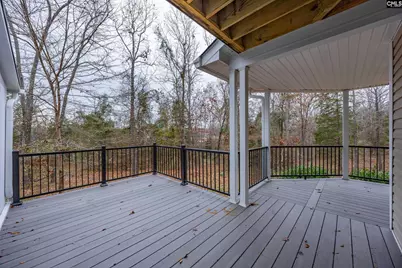 151 Harrison Hill Court, Gilbert, SC 29054 - Photo 40