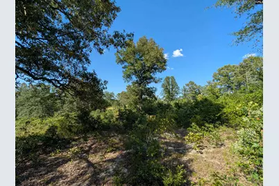 Hound Hollow Road, Camden, SC 29020 - Photo 10