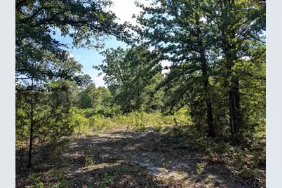 Hound Hollow Road, Camden, SC 29020 - Photo 4