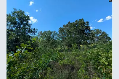 Hound Hollow Road, Camden, SC 29020 - Photo 12