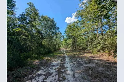 Hound Hollow Road, Camden, SC 29020 - Photo 16