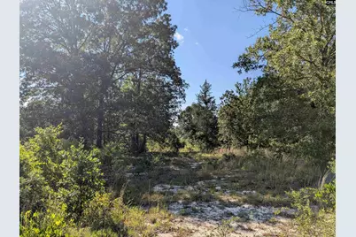 Hound Hollow Road, Camden, SC 29020 - Photo 2