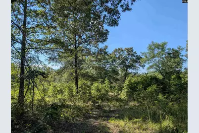 Hound Hollow Road, Camden, SC 29020 - Photo 8