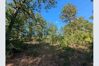 Hound Hollow Road, Camden, SC 29020 - Photo 14