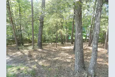 8 Manzanita Court, Elgin, SC 29045 - Photo 20