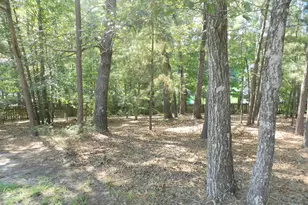 8 Manzanita Ct, Elgin, SC 29045 - Photo 20