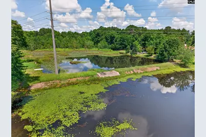 5 Dawson Pond Court, Blythewood, SC 29016 - Photo 4
