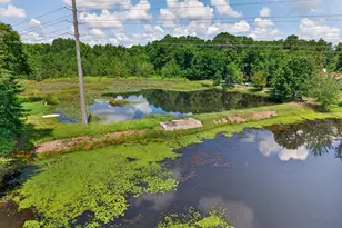 5 Dawson pond Ct, Blythewood, SC 29016 - Photo 4