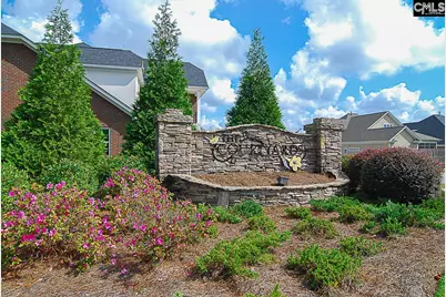 238 Wading Bird Loop, Blythewood, SC 29016 - Photo 60