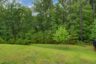 238 Wading Bird Loop, Blythewood, SC 29016 - Photo 50