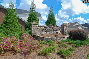 238 Wading Bird Loop, Blythewood, SC 29016 - Photo 58