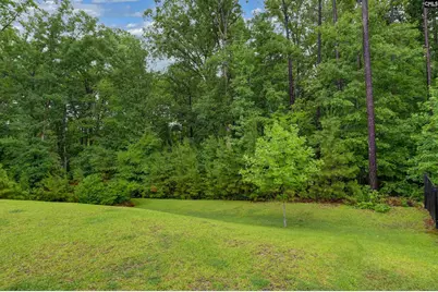 238 Wading Bird Loop, Blythewood, SC 29016 - Photo 52