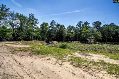 141 Browning Court, Lexington, SC 29073 - Photo 28
