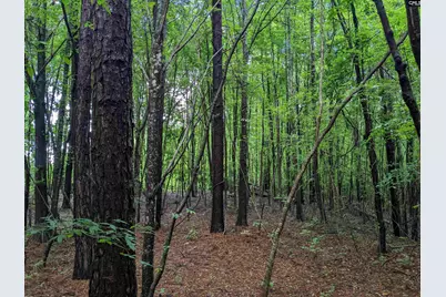Lockhart Highway, Union, SC 29379 - Photo 6