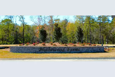 3069 Hanging Valley Road, Blythewood, SC 29016 - Photo 40