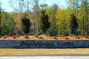 3069 Hanging Valley Rd, Blythewood, SC 29016 - Photo 40
