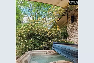 132 Backman Street, Lexington, SC 29072 - Photo 40