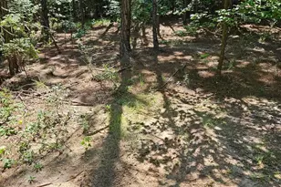 00 Cypress Dr 0, Winnsboro, SC 29180 - Photo 1