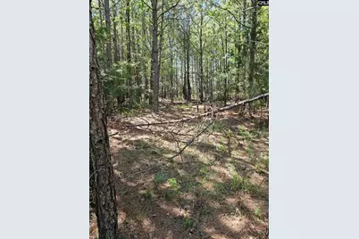 00 Cypress Drive 0, Winnsboro, SC 29180 - Photo 2